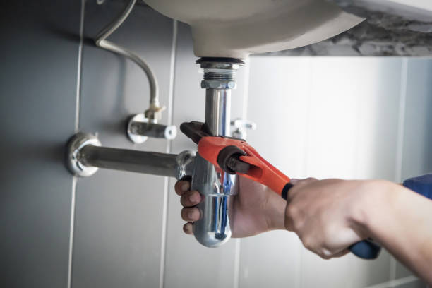 Best Drain Cleaning Services  in Lake Odessa, MI
