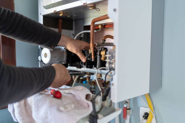 Best Residential Plumbing Services  in Lake Odessa, MI